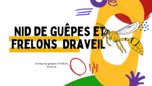 Nid de frelons Draveil