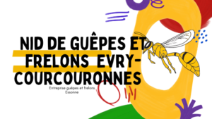 Destruction nid de frelons Evry-Courcouronnes 91000