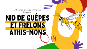 Nid de guêpes Athis-Mons