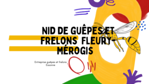 Destruction nid de guêpes et frelons Fleury-Mérogis